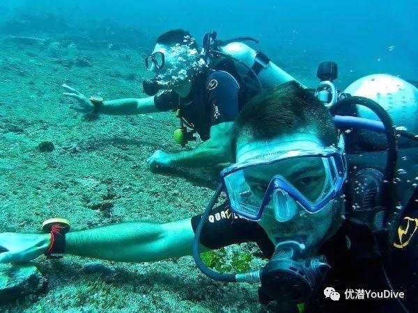 探索阴阳怪气还得看驾校教练!你当年学车时被阴阳怪气过吗?,获取知识星球平台的专业指导